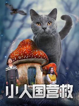 亚洲欧美日韩综合一区