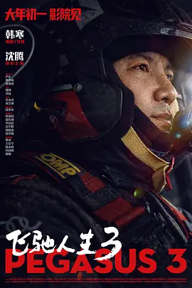 日插