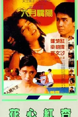 铁石心肠2019全集免费观看