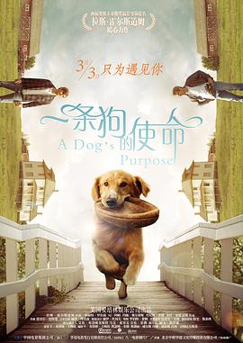 久久久福利