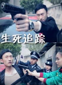 国产成人av在线