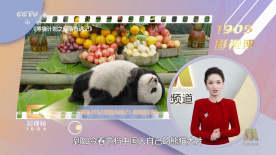 英语辅导员